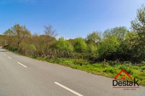 Terreno Rustico Para Agricultura em Ribafeita