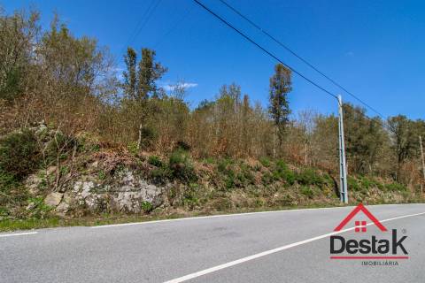 Terreno Rústico Para Agricultura em Ribafeita