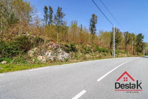 Terreno Rústico Para Agricultura em Ribafeita