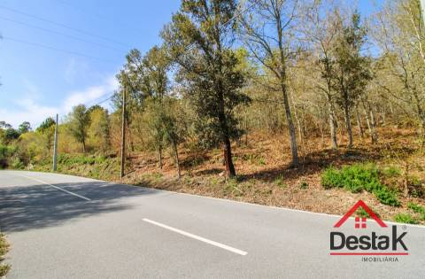 Terreno Rústico Para Agricultura em Ribafeita