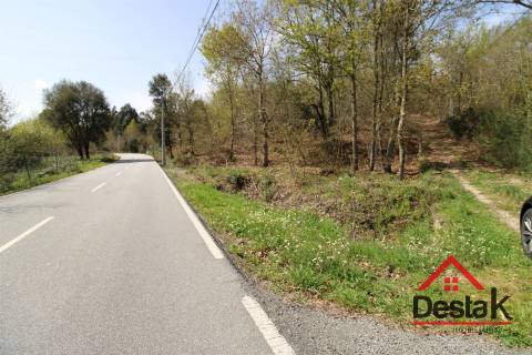 Terreno Rústico Para Agricultura em Ribafeita