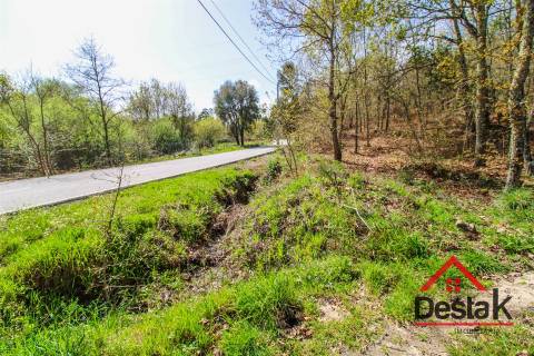 Terreno Rústico Para Agricultura em Ribafeita