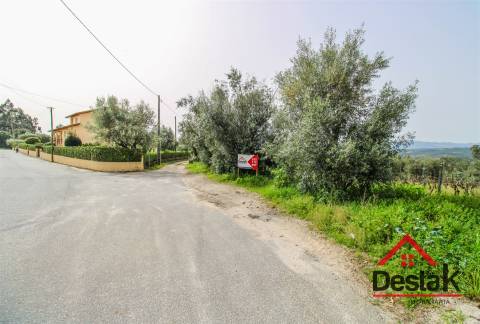 Terreno rústico em Silvares, Silgueiros