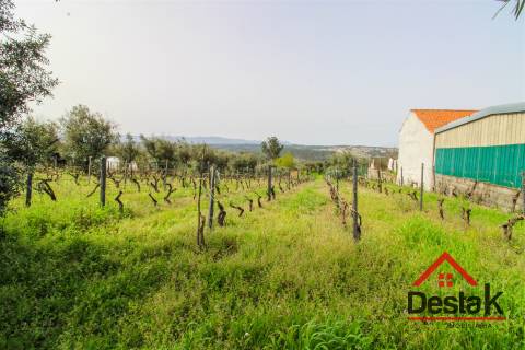 Terreno rústico em Silvares, Silgueiros