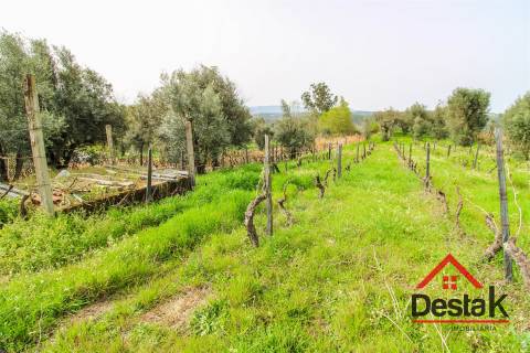 Terreno rústico em Silvares, Silgueiros