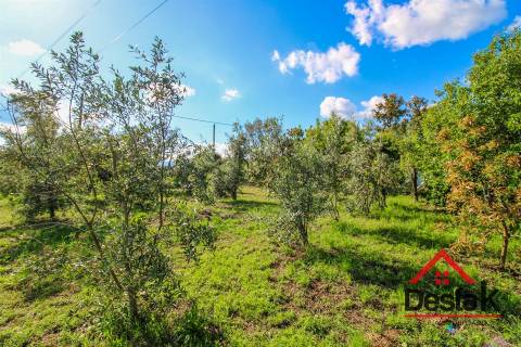 Quinta para venda na Lufinha, Ribafeita composta por duas moradias e um terreno com 2400 m²