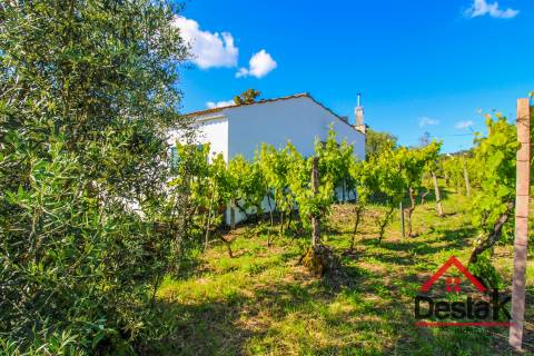 Quinta para venda na Lufinha, Ribafeita composta por duas moradias e um terreno com 2400 m²