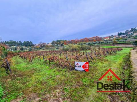 Terreno Rústico  Venda em Rio de Moinhos,Sátão
