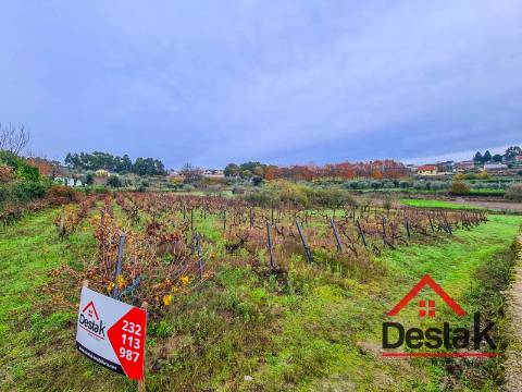 Terreno Rústico  Venda em Rio de Moinhos,Sátão