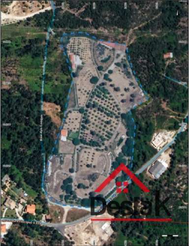 Quinta de 3 Hectares Próxima de Viseu