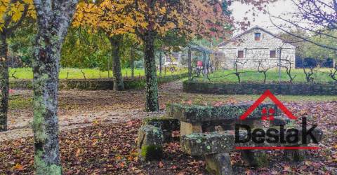 Quinta de 3 Hectares Próxima de Viseu