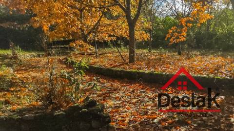 Quinta de 3 Hectares Próxima de Viseu
