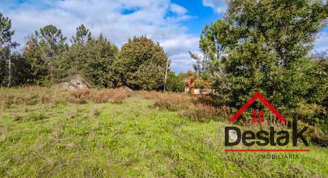 Quinta de 3 Hectares Próxima de Viseu