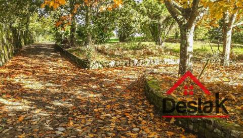 Quinta de 3 Hectares Próxima de Viseu