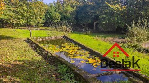 Quinta de 3 Hectares Próxima de Viseu