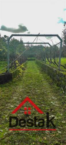Quinta de 3 Hectares Próxima de Viseu