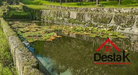 Quinta de 3 Hectares Próxima de Viseu