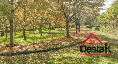 Quinta de 3 Hectares Próxima de Viseu