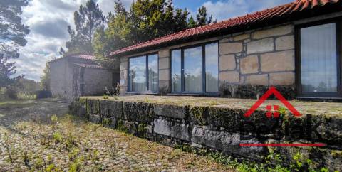 Quinta de 3 Hectares Próxima de Viseu