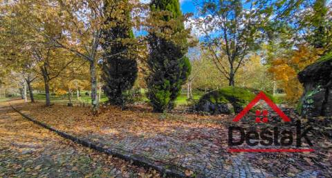 Quinta de 3 Hectares Próxima de Viseu