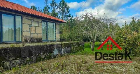 Quinta de 3 Hectares Próxima de Viseu