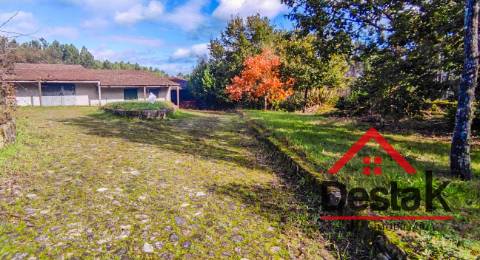 Quinta de 3 Hectares Próxima de Viseu