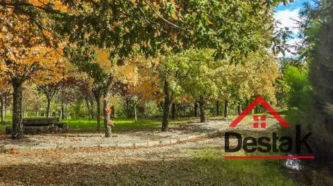 Quinta de 3 Hectares Próxima de Viseu