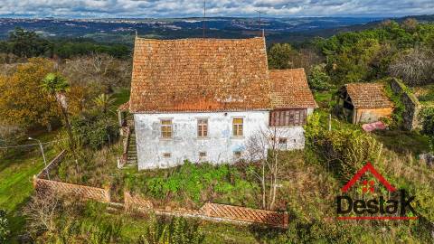 Quinta próxima de Viseu com 10 Hectares