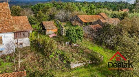 Quinta próxima de Viseu com 10 Hectares