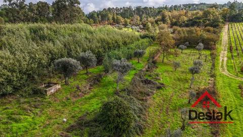 Quinta próxima de Viseu com 10 Hectares