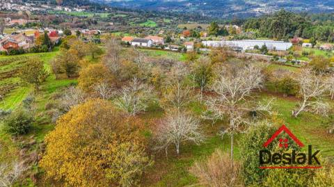 Quinta próxima de Viseu com 10 Hectares