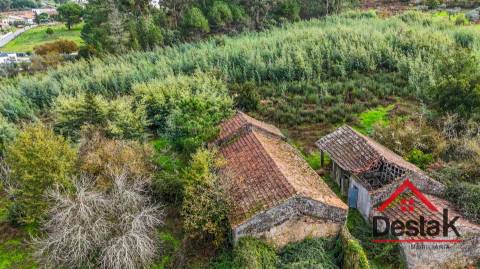 Quinta próxima de Viseu com 10 Hectares