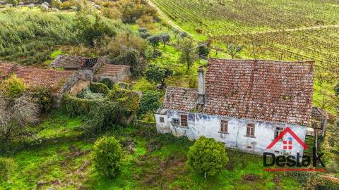 Quinta próxima de Viseu com 10 Hectares