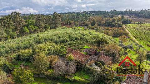 Quinta próxima de Viseu com 10 Hectares
