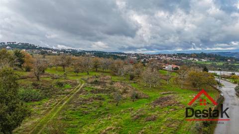 Quinta próxima de Viseu com 10 Hectares