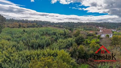 Quinta próxima de Viseu com 10 Hectares