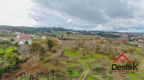 Quinta próxima de Viseu com 10 Hectares