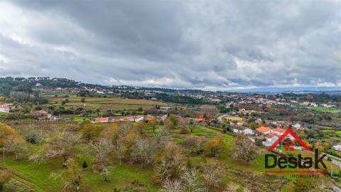 Quinta próxima de Viseu com 10 Hectares