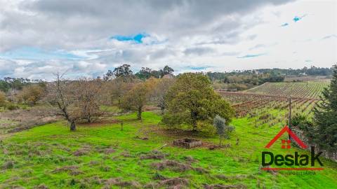 Quinta próxima de Viseu com 10 Hectares