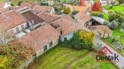 Quinta próxima de Viseu com 10 Hectares