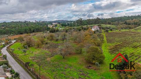 Quinta próxima de Viseu com 10 Hectares
