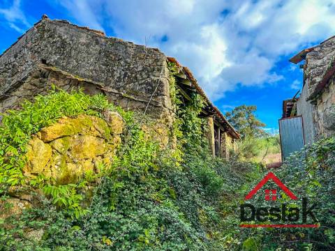 Quinta próxima de Viseu com 10 Hectares