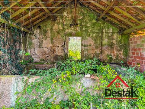 Quinta próxima de Viseu com 10 Hectares