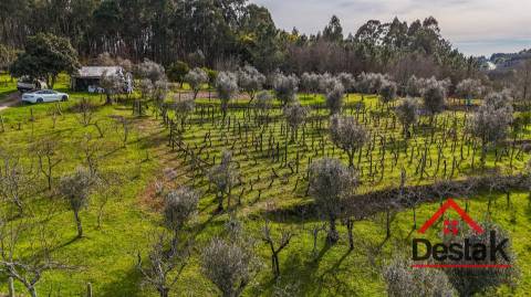 Quintinha em São Miguel do Outeiro, Tondela
