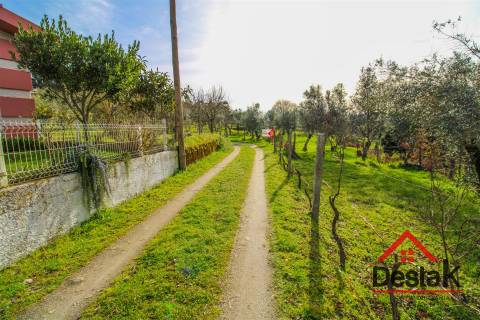 Quintinha em São Miguel do Outeiro, Tondela