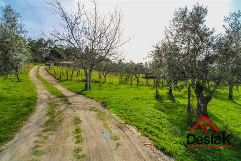 Quintinha em São Miguel do Outeiro, Tondela