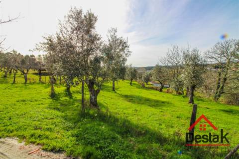 Quintinha em São Miguel do Outeiro, Tondela