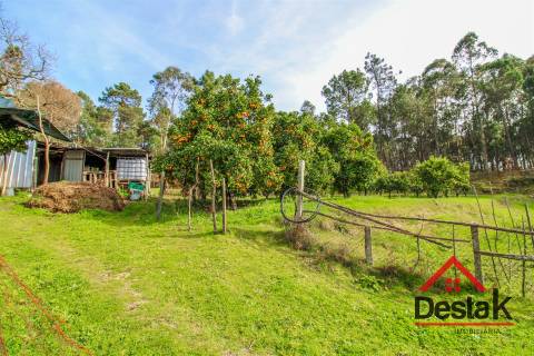 Quintinha em São Miguel do Outeiro, Tondela