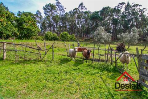 Quintinha em São Miguel do Outeiro, Tondela