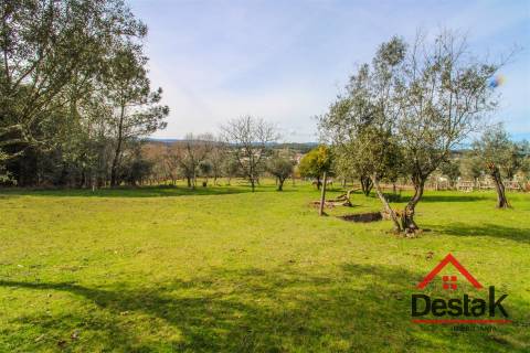 Quintinha em São Miguel do Outeiro, Tondela